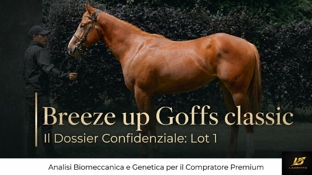 Breeze up Goffs classic — Lot 1